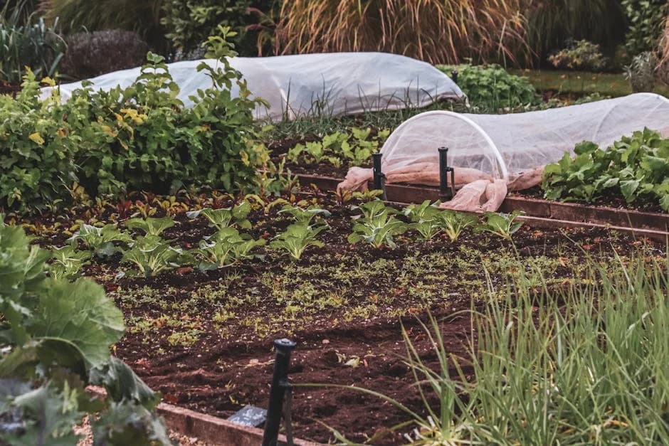 A diverse vegetable garden bed showing multiple companion plants growing together, including tomatoes, basil, and marigolds.